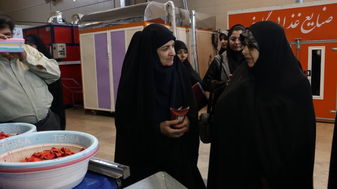 بازدید از مجموعه کارآفرینی تولیدی گاخ توسط معاون امور زنان و خانواده رئیس جمهور