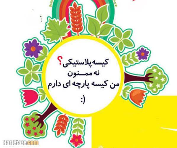 زنجان «شهر بدون پلاستیک» میشود